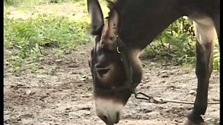 ROSALIA CATANESE – (Full Movie – HD Restyling Version)