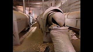 LE MIE PRIGIONI – (the movie in FULL HD Version restyling)