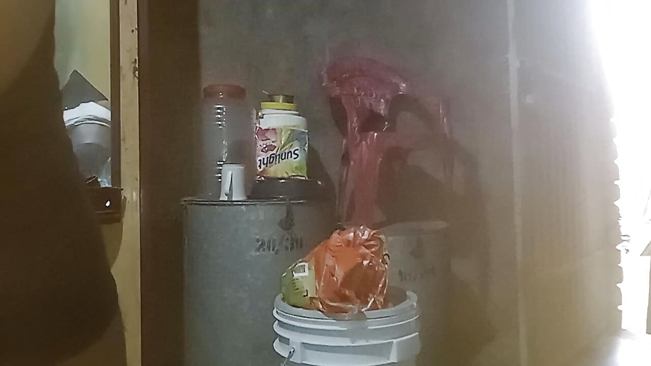 Beautiful and sex and mouth and dog in